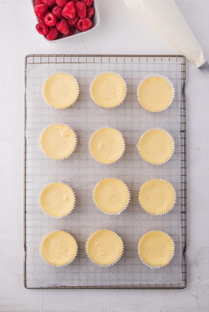 All the Mini Cheesecake Bites cooling on a wire cooling rack.