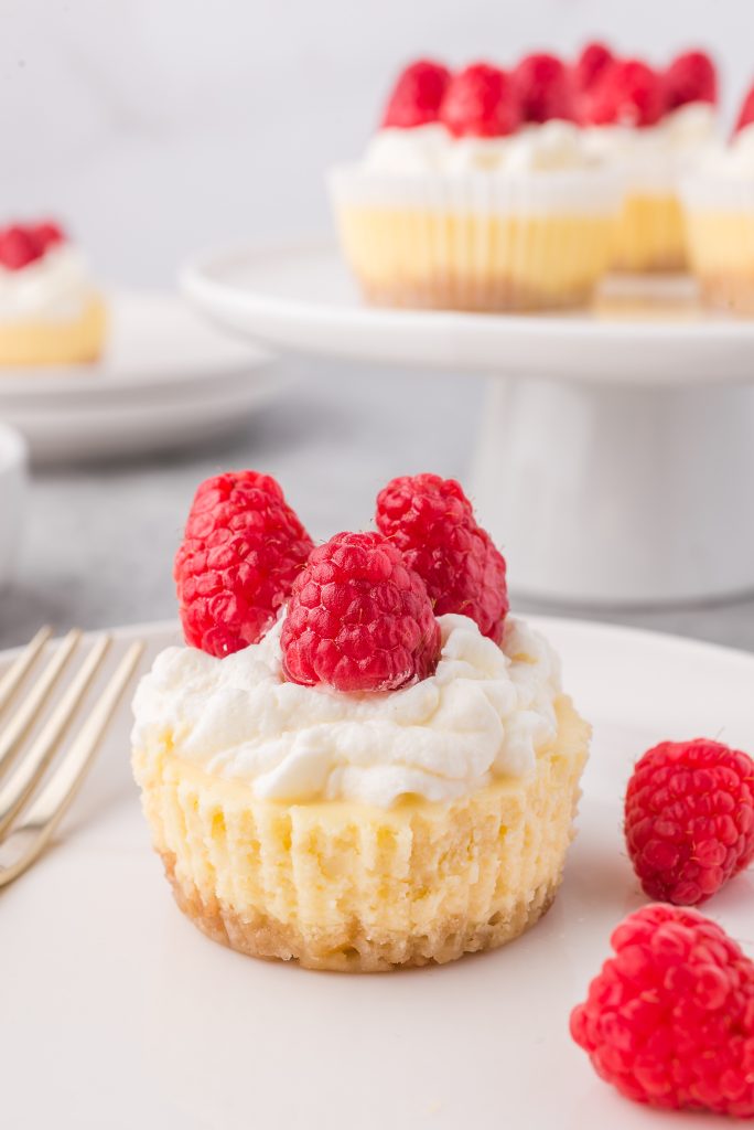 One raspberry and whipped cream topped Mini Cheesecake Bite on a plate with a fork and some loose raspberries. There is a tray of more of them in the background.