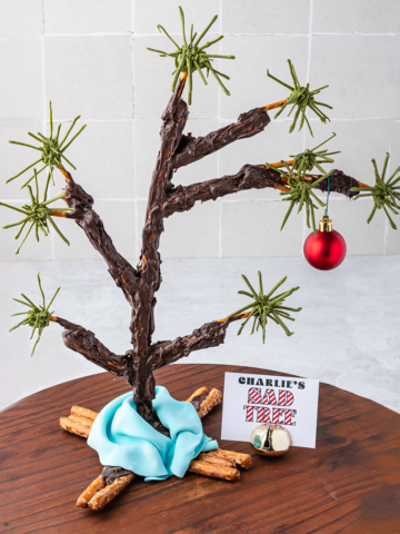 Charlie's Sad Tree with a blanket draped around the bottom and one red ornament on it