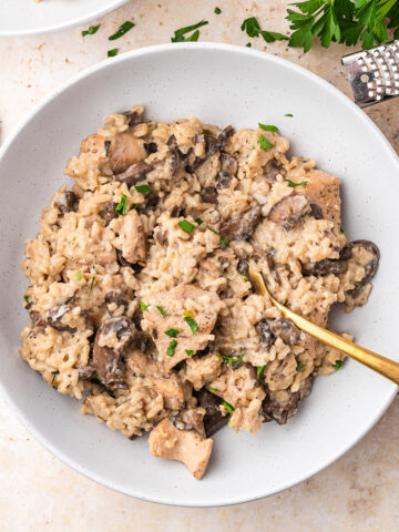 A bowl of Creamy Mushroom Chicken and Rice